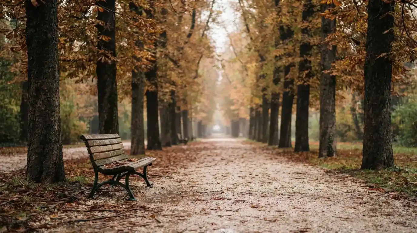 Eine Parkallee mit Kastanienbäumen und einer leeren Bank, Herbstlaub bedeckt den Kiesweg.