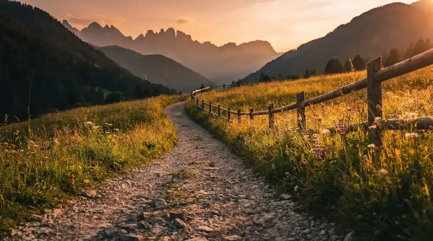 Ein Wanderweg führt durch eine Almwiese im Sonnenuntergang, am Wegrand steht ein Holzzaun